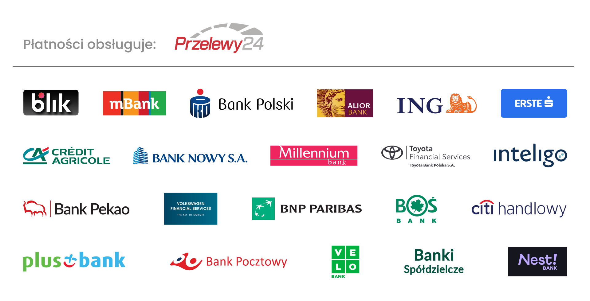 Płatności obsługuje Przelewy24 – BLIK, mBank, PKO Bank Polski, Alior Bank, ING, Erste, Crédit Agricole, Bank Nowy, Millennium, Toyota Financial Services, Inteligo, Bank Pekao, Volkswagen Financial Services, BNP Paribas, BOŚ Bank, Citi Handlowy, Plus Bank, Bank Pocztowy, VeloBank, Banki Spółdzielcze, Nest Bank